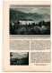 Delcampe - Bergland. Illustrierte Alpenländische Monatsschrift. 13. Jahrgang - 1931, Heft 1 - Travel & Entertainment