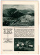 Bergland. Illustrierte Alpenländische Monatsschrift. 13. Jahrgang - 1931, Heft 3 - Viaggi & Divertimenti