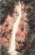 Chine - Chutte D'eau - Colorisé - Datée 1915 - Carte Postale Ancienne - China