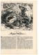 Delcampe - Bergland. Illustrierte Alpenländische Monatsschrift. 13. Jahrgang - 1931, Heft 11 - Voyage & Divertissement