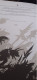 Delcampe - ARKEL Lilith - Les Pirates De L'envers Et Autres Petites Histoires DESBERG HARDY éditions Black Et White 2021 - Tirages De Tête