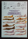 Modern Warplanes - D. Richardson - Salamander Books - Mathematik Und Physik