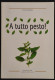 A Tutto Pesto - E. Zampollo - 2001 - House & Kitchen