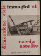 Dimensione Cielo B1 - Caccia Assalto - Aerei Italiani WWII - 1973 - Motores