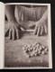 Delcampe - Il Libro Del Cavolo Ricette Immagini E Racconti - S. Verbert - Ed. Cibele - 2009 - House & Kitchen