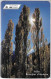 CARTE-PUCE-ANDORRE-50U-AND108-SC7-10/1999-ARBRES-Utilisé-TBE - Andorre