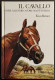 Il Cavallo - Allevarlo, Mantenerlo - E. Berner - Ed. Edagricole - 1988 I Ed. - Animaux De Compagnie