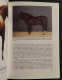 Il Cavallo - Allevarlo, Mantenerlo - E. Berner - Ed. Edagricole - 1988 I Ed. - Animali Da Compagnia