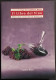 Il Libro Del Vino - Manuale Teorico E Pratico - Gambero Rosso - 2004 - House & Kitchen