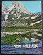 I Fiori Delle Alpi - F. Rasetti - 1980 - Jardinage
