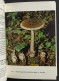 Funghi Eduli E Velenosi - Come Distinguerli - Ricette - C. Sportelli - 1974 - Giardinaggio