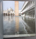 Delcampe - Vivaldi Le Quattro Stagioni -  Venezia - F. Roiter - Ed. Vianello + CD - Photo