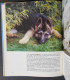 Cuccioli Di Razza - G. F. Cavalchini - Ed. De Vecchi - 1989 - Pets