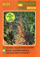 92-CLICHY-REVUE INFORMATIONS AGRICOLES AGRICOLE GEIGY-1970-DESHERBAGE VIGNE- CHLOROSE-MAIS-PAILLAGE--AGRICULTURE - Agriculture