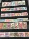 LOT  De  1200   TIMBRES De   DIVERS PAYS   ... Sur Les PLAQUETTES Les TIMBRES Sont NEUFS** - Lots & Kiloware (mixtures) - Min. 1000 Stamps