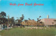 Postcard USA Fl Florida Tampa Flamingos And Golden Geodesic Dome 1969 - Tampa