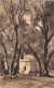 ALGERIE - BLIDA - Le Bois Sacré - Carte Postale Ancienne - Blida