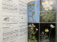 Delcampe - Flora Helvetica. Flora Der Schweiz, Flore De La Suisse, Flora Della Svizzera. - Botanik