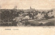 PATURAGES - Panorama - Carte Circulé En 1906 Vers Eugies - Colfontaine