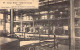 CONGO BELGE - PANDA - Intérieur De L'usine De Concentration - Carte Postale Ancienne - Belgian Congo