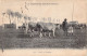 AGRICULTURE - ELEVAGE - La Campage Bourbonnaise - Boeufs Au Pâturage - Carte Postale Ancienne - Viehzucht