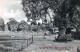 UPPER CLAPTON / SPRINGFIELD PARK N.E / 1908 - London Suburbs