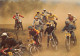 Delcampe - ¤¤   -   Lot De 10 Cartes De MOTOCROSS  -  Motards   -   Course   -    ¤¤ - Motorbikes