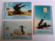 NETHERLANDS  ADVERTISING CHIPCARD /3X  5,- CHOPPER/MILITAIR LANDMACHT  CRD 677.01 / CRD 677.03   MINT   ** 13013** - Privé