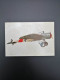 Delcampe - Aviation - Lot De 4 Plaques Photo Représentants Des Avions Anciens - Avant 1944 - Altri & Non Classificati