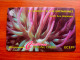 St. Vincent & The Grenadines - Giant Sea Anemone - 101CSVB - San Vicente Y Las Granadinas