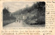 Esneux - Ruines Du Château Des Quatre Fils Aymon (Photo. E D B 1900) - Esneux