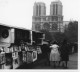 Photo Paris Notre Dame Vue Des Quais Avec Bouquiniste Format 19/18,années 50 - Orte