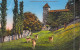 SUISSE - Rapperswil - Schloss Und Hirschpark - Carte Postale Ancienne - Rapperswil