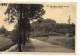 Carte Postale. SAINT LEGER. La Route De Virton. - Saint-Léger