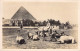 EGYPTE - Kamel Group Near The Great Pyramid Of Cheops - Carte Postale Ancienne - Assuan