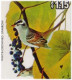 White Crowned Sparrow, Downy Woodpecker Bird, Birds, Animal Golden Border Stamp FDC - Passeri