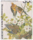 Mourning Dove, Carolina Chickadee Black Capped Titmouse Bird, Birds, Animal, Audubon FDC - Sparrows