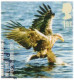 UK Species In Recovery, Eagle, Sparrow, Falcon, Kite Bunting, Beautiful Birds, Bird, Animal, Pictorial Cancellation FDC - Moineaux