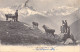FRANCE - 74 - Mont-Blanc Et Aiguille Verte - Carte Postale Ancienne - Saint-Gervais-les-Bains