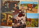 Lot De 560 Cartes Postales De 1900 à Nos Jours Tous Types - 500 Postkaarten Min.