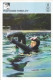 Trading Card KK000319 - Svijet Sporta Spearfishing 10x15cm - Pêche