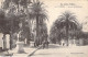 FRANCE - 83 - HYERES - Avenue Des Palmiers - Edit Poullan - Carte Postale Ancienne - Hyeres