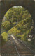 AUSTRALIA - QLD - N° 4 TUNNEL, CAIRNS RAILWAY - COLOURED SHELL SERIES, QUEENSLAND VIEWS - 1908 - Cairns