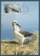 TAAF N° 464/468 OISEAUX SUR 5 CARTES MAXIMUM - FDC