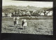 BRD AK Von Bad Oy-Mittelberg Im Allgäu Mit Blick Auf Säuling Und Zugspitze Um 1970 - Mittelberg