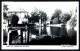 ELVAS - CORETOS - Lago Do Parque De Piedade. ( Ed. Hotel Alentejo)  Carte Postale - Portalegre