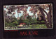 AK 126138 USA - San Jose - Japanese Friendship Garden - San Jose