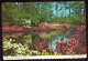 AK 126186 USA - Alabama - Theodore - Bellingrath Gardens - Mirror Lakes - Autres & Non Classés