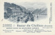 SUISSE - Publicité Pour Le Bazar De Chillon - Carte Postale Ancienne - Sonstige & Ohne Zuordnung