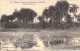 SENEGAL - Dakar - Oasis De Hann - Carte Postale Ancienne - Senegal